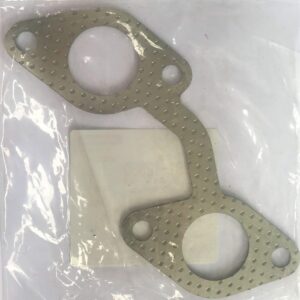 Gasket ex Manifold