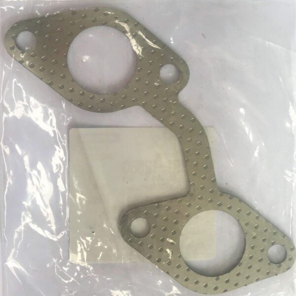 Gasket ex Manifold